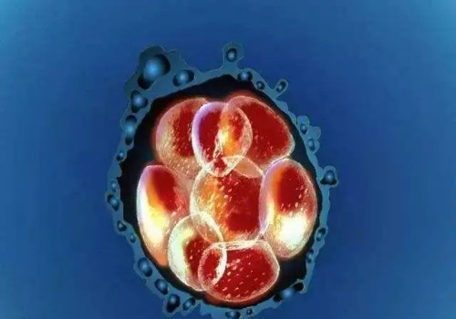 天津代生中心：﻿卵巢功能早衰能不能治愈，女性要引起重视起来