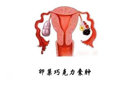 天津代怀代生公司：﻿促排卵期间不能盲目按摩,找对方法很关键