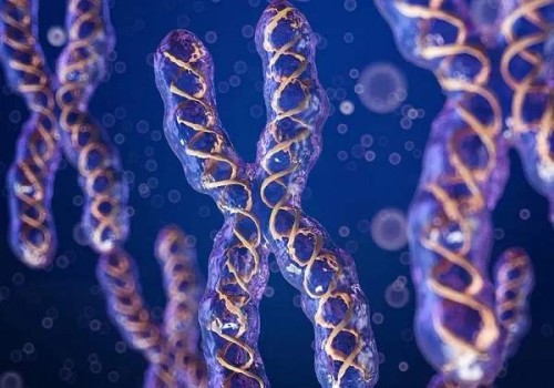 使用超长方案促排之后注意事项多，好好休息是重中之重