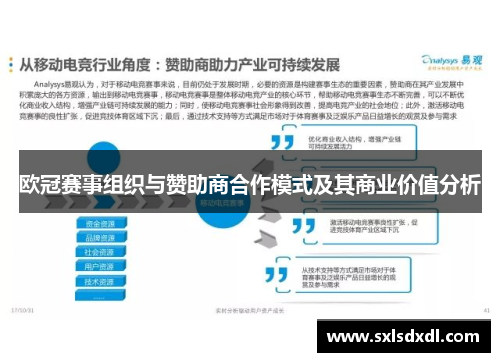 欧冠赛事组织与赞助商合作模式及其商业价值分析