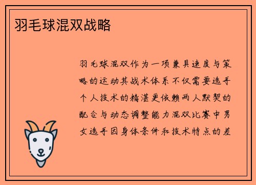 羽毛球混双战略